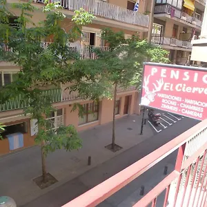  Affittacamere El Ciervo